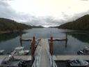 ./images/calvert/dock/20150722/dock20150722_115004.jpg