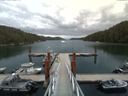 ./images/calvert/dock/20150722/dock20150722_144504.jpg