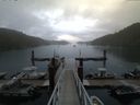 ./images/calvert/dock/20150724/dock20150724_063502.jpg
