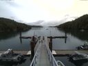 ./images/calvert/dock/20150724/dock20150724_085004.jpg
