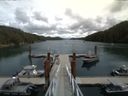 ./images/calvert/dock/20150724/dock20150724_133503.jpg