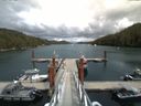 ./images/calvert/dock/20150724/dock20150724_155503.jpg