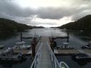 ./images/calvert/dock/20150724/dock20150724_203504.jpg
