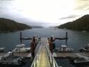 ./images/calvert/dock/20150725/dock20150725_054002.jpg