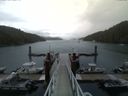 ./images/calvert/dock/20150725/dock20150725_063504.jpg