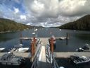 ./images/calvert/dock/20150725/dock20150725_164504.jpg