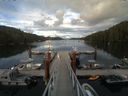 ./images/calvert/dock/20150725/dock20150725_193504.jpg