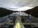 ./images/calvert/dock/20150726/dock20150726_052003.jpg