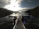 ./images/calvert/dock/20150726/dock20150726_073001.jpg
