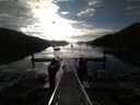 ./images/calvert/dock/20150726/dock20150726_073503.jpg