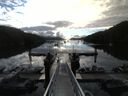 ./images/calvert/dock/20150726/dock20150726_081503.jpg