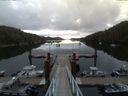 ./images/calvert/dock/20150727/dock20150727_065502.jpg