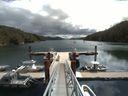 ./images/calvert/dock/20150727/dock20150727_111504.jpg
