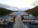 ./images/calvert/dock/20150727/dock20150727_212502.jpg