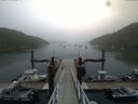 ./images/calvert/dock/20150728/dock20150728_085002.jpg