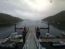 ./images/calvert/dock/20150728/dock20150728_085502.jpg