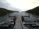 ./images/calvert/dock/20150728/dock20150728_100004.jpg