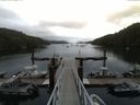 ./images/calvert/dock/20150728/dock20150728_112003.jpg