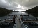 ./images/calvert/dock/20150728/dock20150728_113502.jpg