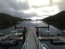 ./images/calvert/dock/20150728/dock20150728_114004.jpg