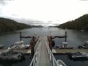 ./images/calvert/dock/20150728/dock20150728_122504.jpg