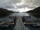 ./images/calvert/dock/20150728/dock20150728_124503.jpg