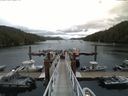 ./images/calvert/dock/20150728/dock20150728_130504.jpg