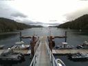 ./images/calvert/dock/20150728/dock20150728_131504.jpg