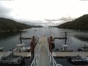 ./images/calvert/dock/20150728/dock20150728_152004.jpg