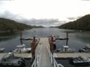 ./images/calvert/dock/20150728/dock20150728_153503.jpg