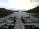 ./images/calvert/dock/20150728/dock20150728_164004.jpg