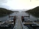 ./images/calvert/dock/20150728/dock20150728_201002.jpg