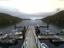 ./images/calvert/dock/20150728/dock20150728_210502.jpg