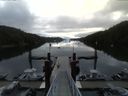 ./images/calvert/dock/20150729/dock20150729_073503.jpg
