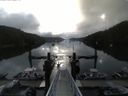 ./images/calvert/dock/20150729/dock20150729_081004.jpg