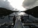 ./images/calvert/dock/20150729/dock20150729_084004.jpg