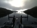 ./images/calvert/dock/20150731/dock20150731_081003.jpg
