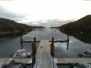 ./images/calvert/dock/20150801/dock20150801_095502.jpg