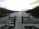 ./images/calvert/dock/20150801/dock20150801_104504.jpg