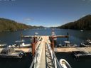 ./images/calvert/dock/20150801/dock20150801_143501.jpg