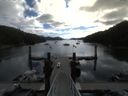 ./images/calvert/dock/20150802/dock20150802_101501.jpg