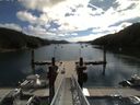 ./images/calvert/dock/20150802/dock20150802_105502.jpg