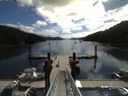 ./images/calvert/dock/20150802/dock20150802_110003.jpg