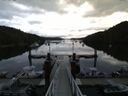 ./images/calvert/dock/20150803/dock20150803_072004.jpg