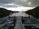./images/calvert/dock/20150803/dock20150803_072504.jpg