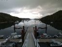 ./images/calvert/dock/20150803/dock20150803_073503.jpg