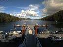 ./images/calvert/dock/20150803/dock20150803_175502.jpg