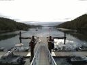 ./images/calvert/dock/20150804/dock20150804_074001.jpg