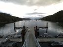 ./images/calvert/dock/20150804/dock20150804_081004.jpg