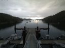 ./images/calvert/dock/20150804/dock20150804_085501.jpg